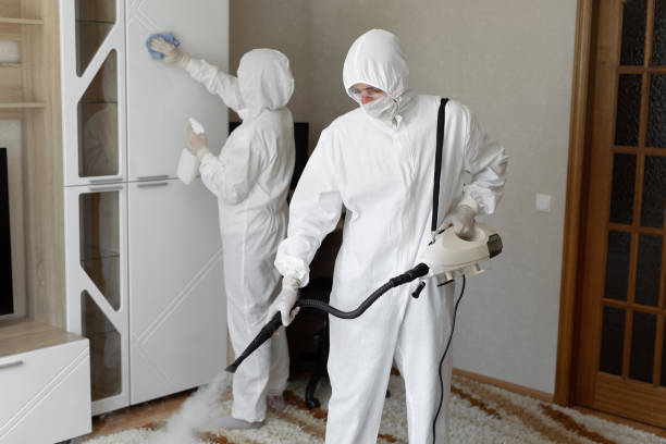 Best Mold Damage Repair  in San Pablo, CA