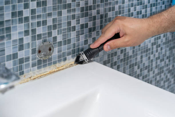 Best Mold Removal Specialists  in San Pablo, CA